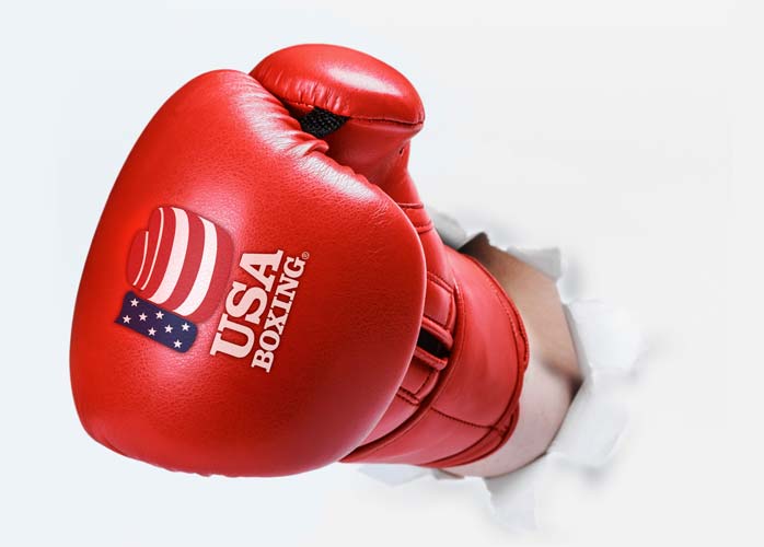 B-TEK/USA Boxing Left Glove