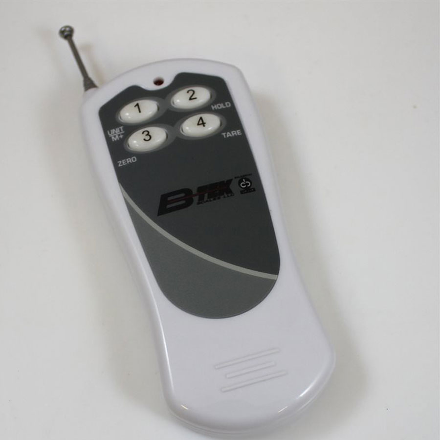 CNS Crane Scale